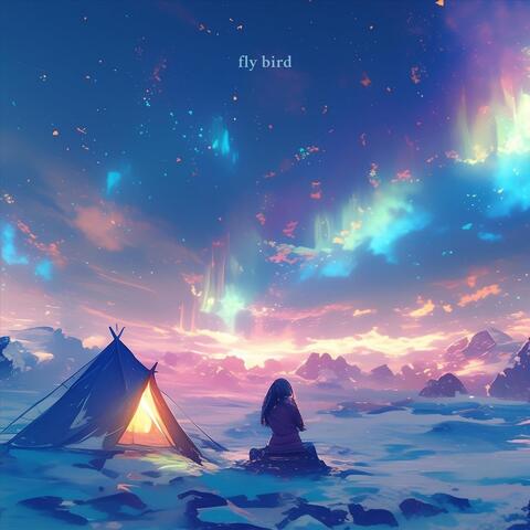 fly bird album art