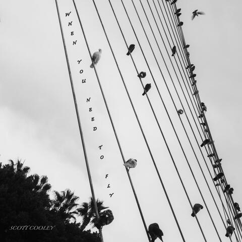 When You Need to Fly album art