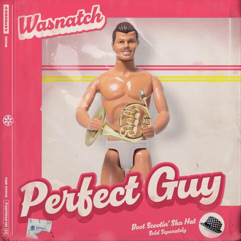 Perfect Guy album art