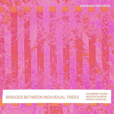 Bridges Between Individual Trees album art