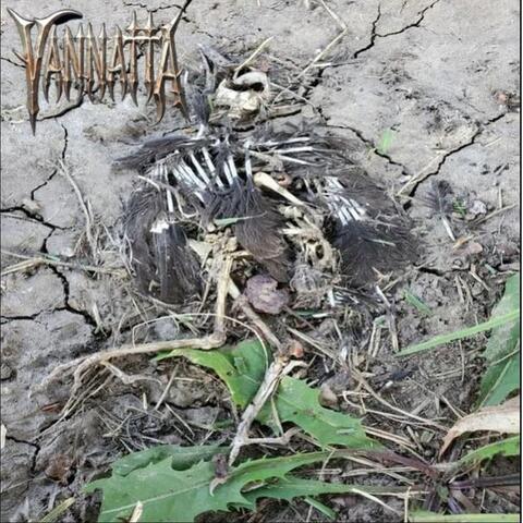 Sabbath Exp album art