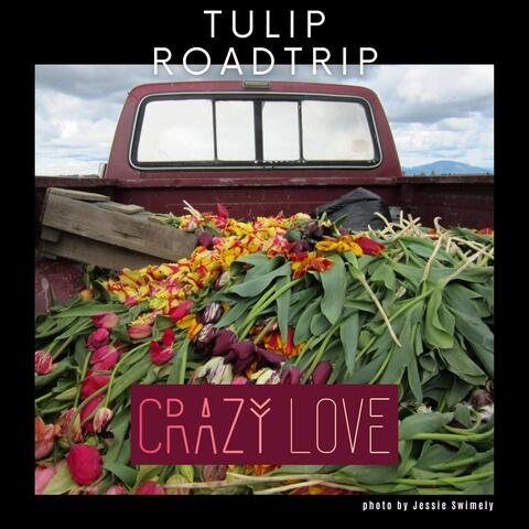 Tulip Roadtrip album art