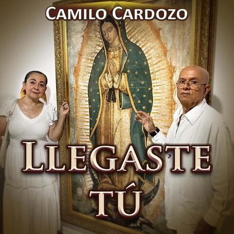 Llegaste Tú album art