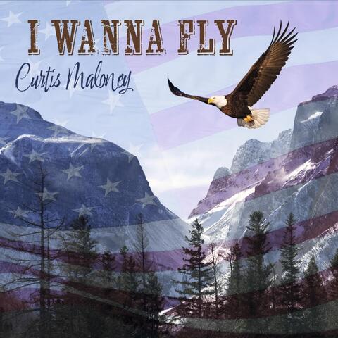 I Wanna Fly album art