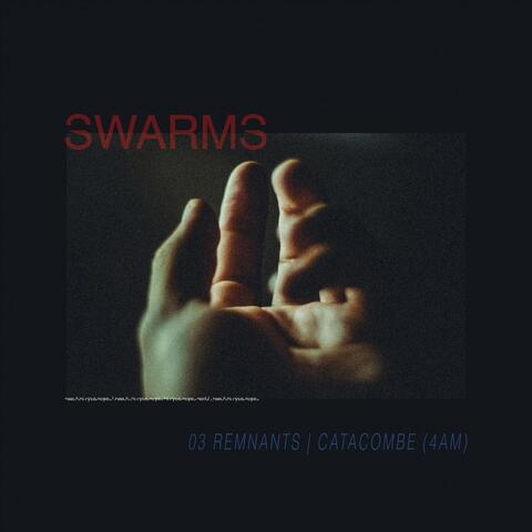 Remnants album art