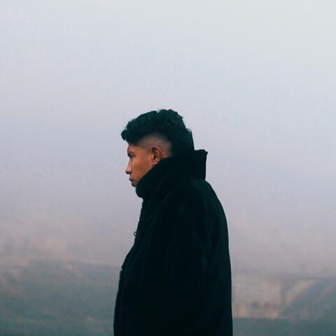 Purificación album art