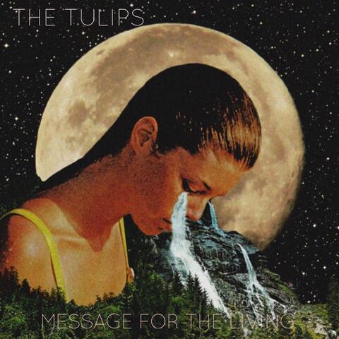 Message for the Living album art