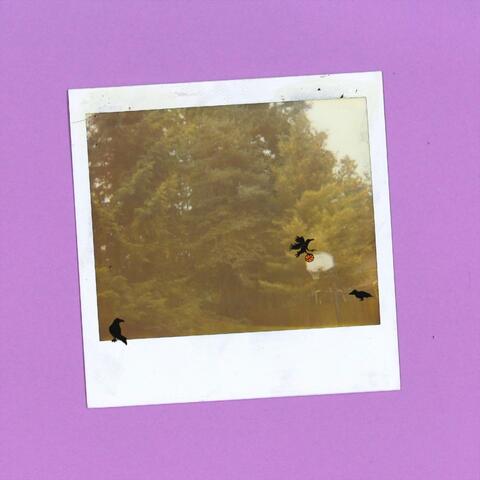 why is a raven like a hydrogen bomb? album art