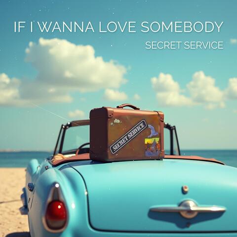 If I Wanna Love Somebody album art