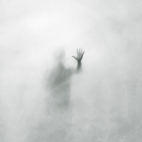 Shadow album art