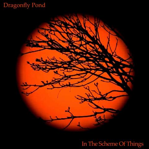 In the Scheme of Things album art