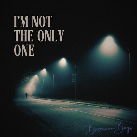 I’m Not the Only One album art