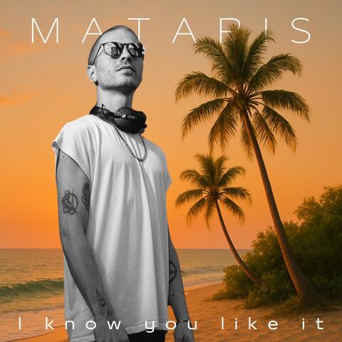 I Know You Like It album art