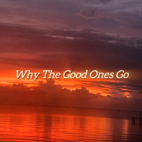 Why the Good Ones Go album art