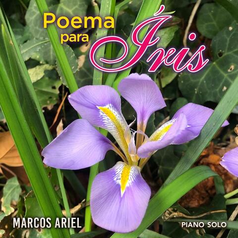 Poema Para Íris album art