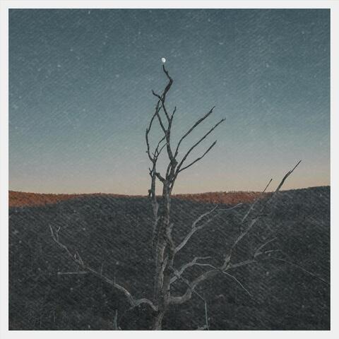 Lookin' for a Devil album art