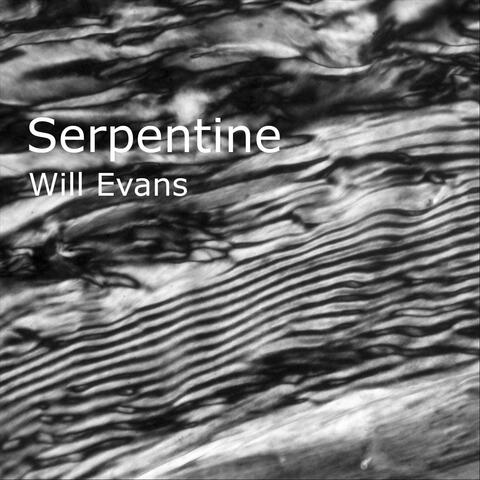 Serpentine album art