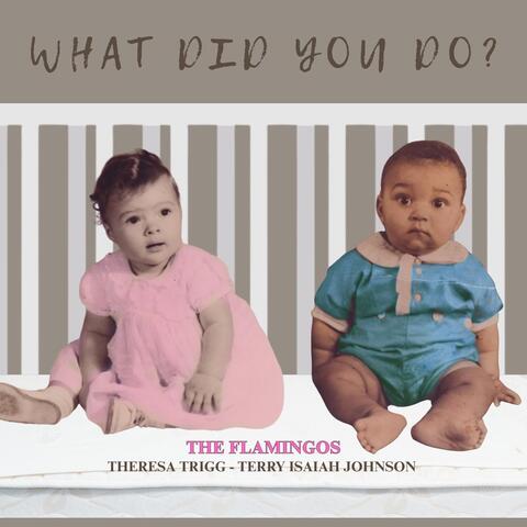 What Did You Do? album art