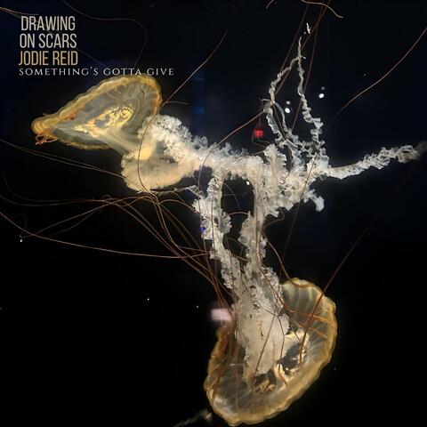 Something's Gotta Give album art
