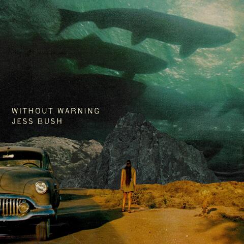 Without Warning album art