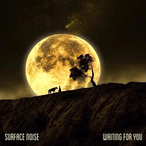 Waiting for You album art