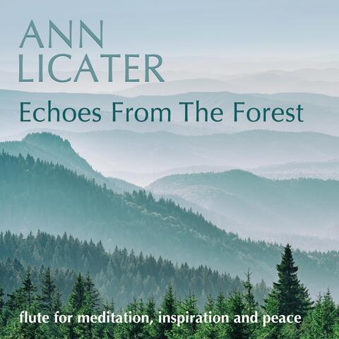 Echoes from the Forest album art