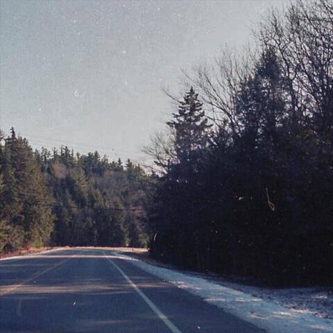 Wind In The Trees album art