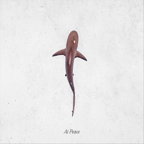 At Peace album art