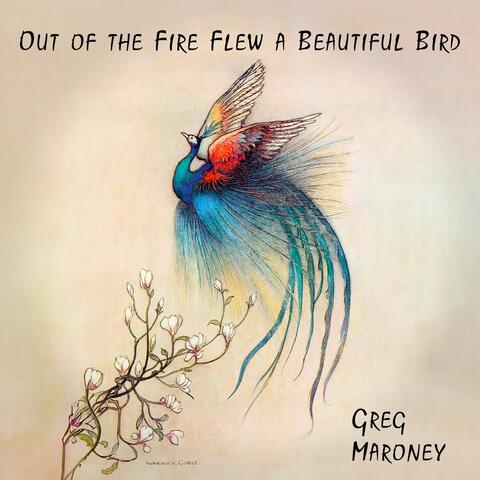 Out of the Fire Flew a Beautiful Bird album art
