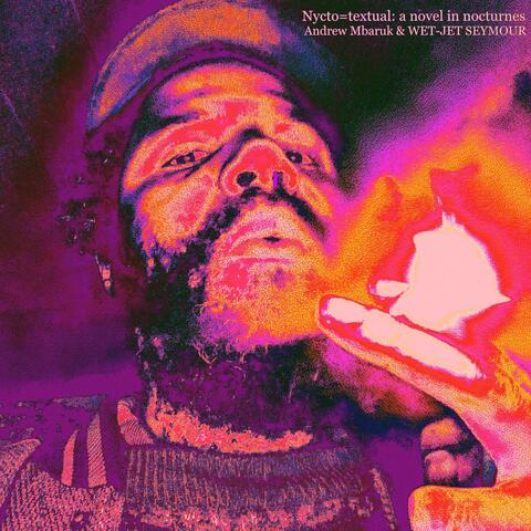 Nycto=textual: a novel in nocturnes album art