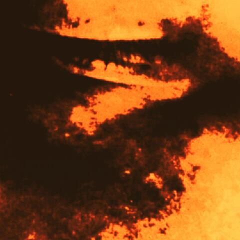 The Prophet album art