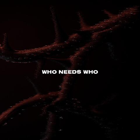 WHO NEEDS WHO album art