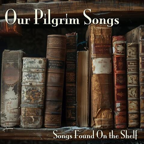 Songs Found on the Shelf album art