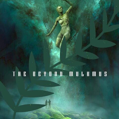 Beyond Storm album art