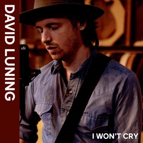 I Won't Cry album art