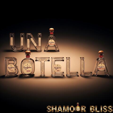 Una Botella album art