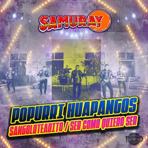 Popurrí Huapangos (Sangoloteadito / Soy Cómo Quiero Ser) album art