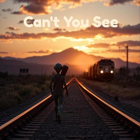 Can't You See album art