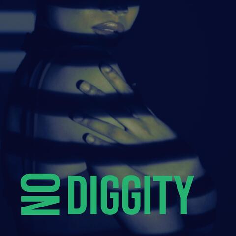 No Diggity album art