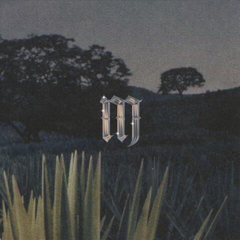 Night Visions album art