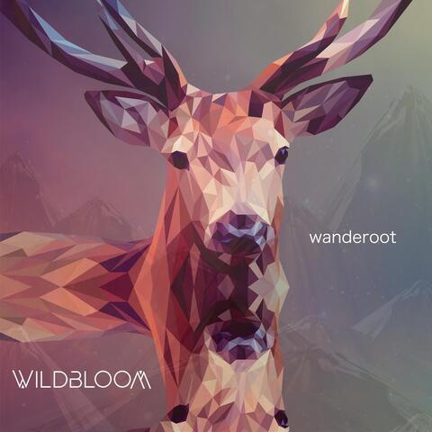 Wanderoot album art