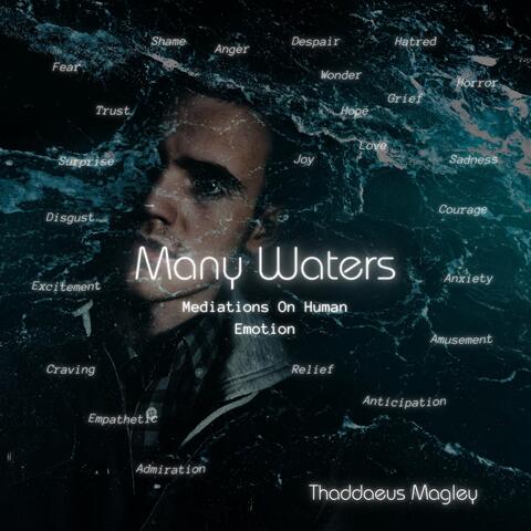 Many Waters album art