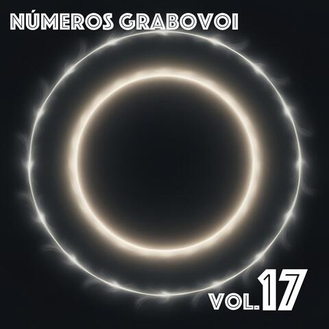 Vol. 17 album art