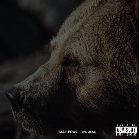 The Vision album art