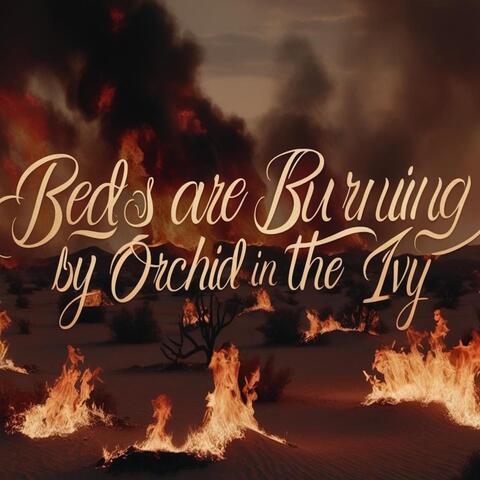 Beds Are Burning album art