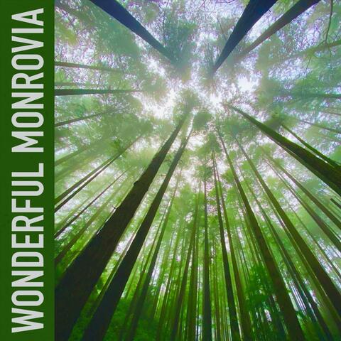 Monrovia album art