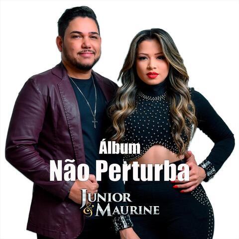 Não Perturba album art