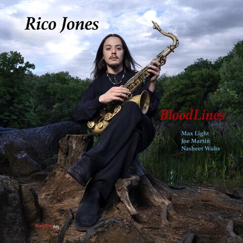 BloodLines album art