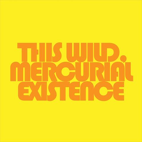 This Wild, Mercurial Existence album art