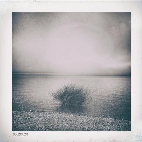 toujours album art
